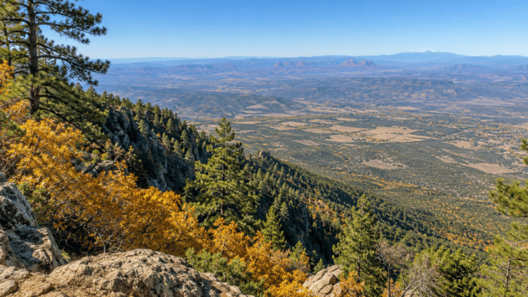View from the rim of Mingus Mountain over the Verde Valley, with golden fall oaks and ponderosa pines