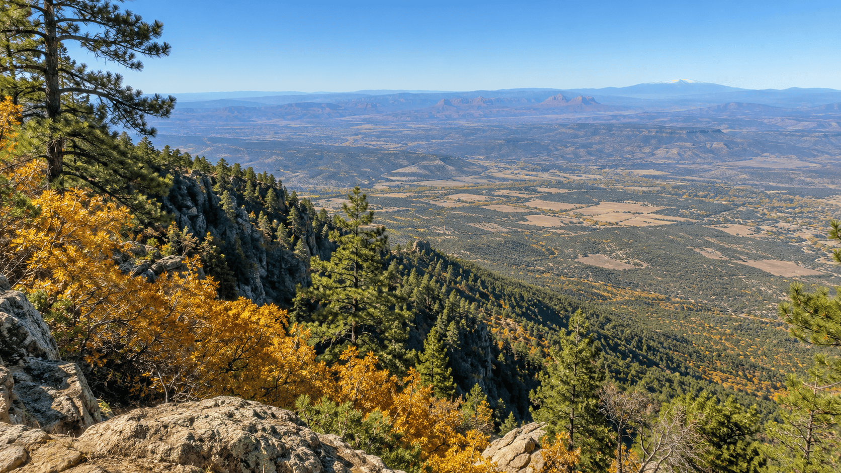 View from the rim of Mingus Mountain over the Verde Valley, with golden fall oaks and ponderosa pines
