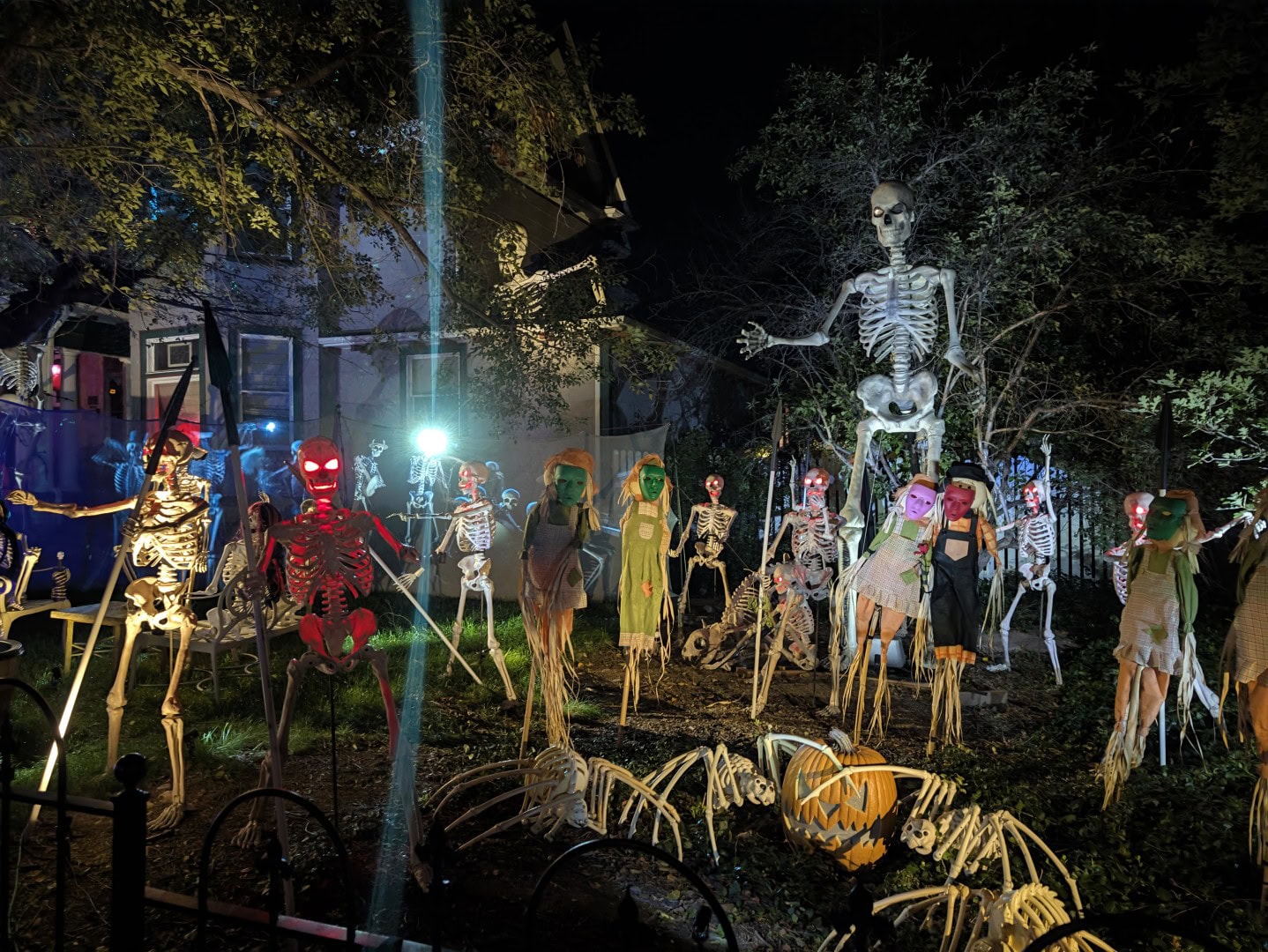 Front yard filled with lit-up skeletons, scarecrows, and a giant skeleton for Halloween in a historic neighborhood near downtown Prescott, Arizona