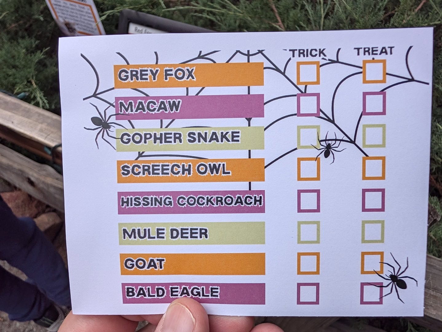 Heritage Park Zoo Halloween scavenger hunt card listing the gray fox, macaw, gopher snake, screech owl, and other animals with trick or treat checkboxes